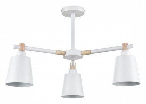 Люстра на штанге Lumion Rosalina 8097/3C в Губкинском - gubkinskiy.mebel24.online | фото