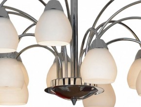 Люстра на штанге Lussole Apiro GRLSF-2403-15 в Губкинском - gubkinskiy.mebel24.online | фото 12