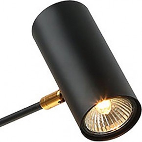 Люстра на штанге Lussole Duncan LSP-8252 в Губкинском - gubkinskiy.mebel24.online | фото 3