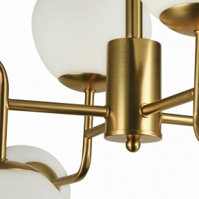 Люстра на штанге Maytoni Erich MOD221-PL-08-G в Губкинском - gubkinskiy.mebel24.online | фото 8