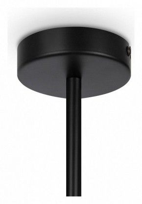 Люстра на штанге Maytoni Memory MOD177PL-04B в Губкинском - gubkinskiy.mebel24.online | фото 4