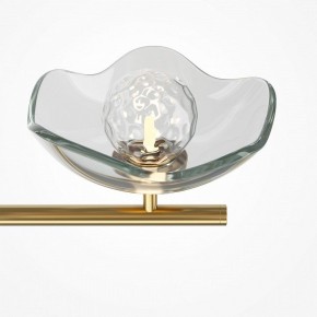 Люстра на штанге Maytoni Miracle MOD207PL-05BS в Губкинском - gubkinskiy.mebel24.online | фото 5