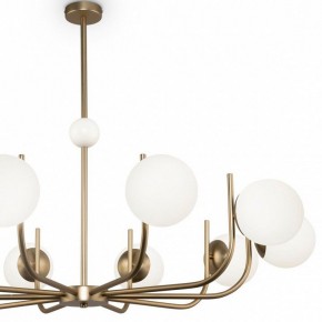 Люстра на штанге Maytoni Rendez-vous MOD109PL-10BS в Губкинском - gubkinskiy.mebel24.online | фото 3