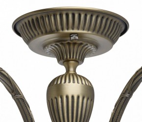 Люстра на штанге MW-Light Аманда 6 481011805 в Губкинском - gubkinskiy.mebel24.online | фото 10