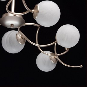 Люстра на штанге MW-Light Оливия 5 306012709 в Губкинском - gubkinskiy.mebel24.online | фото 10