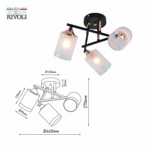 Люстра на штанге Rivoli Fiona Б0059259 в Губкинском - gubkinskiy.mebel24.online | фото