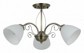 Люстра на штанге Rivoli Sue Б0060985 в Губкинском - gubkinskiy.mebel24.online | фото