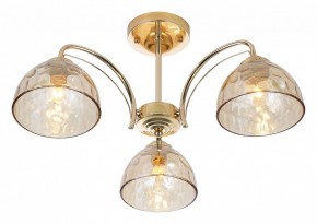 Люстра на штанге Rivoli Terri Б0060988 в Губкинском - gubkinskiy.mebel24.online | фото