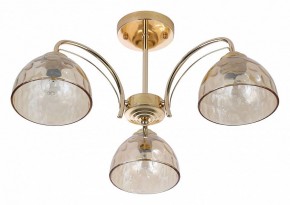 Люстра на штанге Rivoli Terri Б0060988 в Губкинском - gubkinskiy.mebel24.online | фото 2