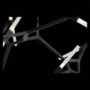 Люстра на штанге ST-Luce Laconicita SL947.402.20 в Губкинском - gubkinskiy.mebel24.online | фото 12