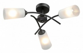 Люстра на штанге Vitaluce V2850 V2850-1/3PL в Губкинском - gubkinskiy.mebel24.online | фото 2
