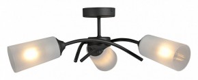 Люстра на штанге Vitaluce V2850 V2850-1/3PL в Губкинском - gubkinskiy.mebel24.online | фото 3