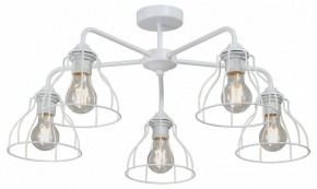 Люстра на штанге Vitaluce V3102 V3102-0/5PL в Губкинском - gubkinskiy.mebel24.online | фото