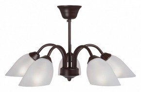 Люстра на штанге Vitaluce V3335 V3335-7/5PL в Губкинском - gubkinskiy.mebel24.online | фото
