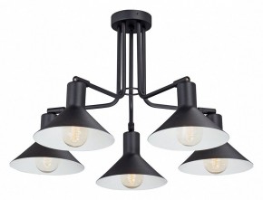 Люстра на штанге Vitaluce V4809 V4809-1/5PL в Губкинском - gubkinskiy.mebel24.online | фото