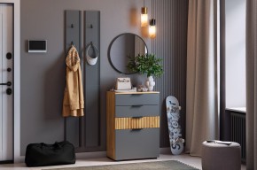 МЕБЕЛЬСОН К21 Прихожая в Губкинском - gubkinskiy.mebel24.online | фото 2