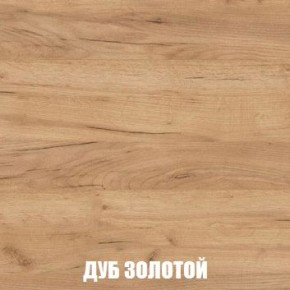 МСП-1 Шкаф 2-х створчатый (Дуб Золотой/Камень темный) в Губкинском - gubkinskiy.mebel24.online | фото 4