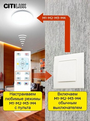 Накладной светильник Citilux Симпла CL714330G в Губкинском - gubkinskiy.mebel24.online | фото 6