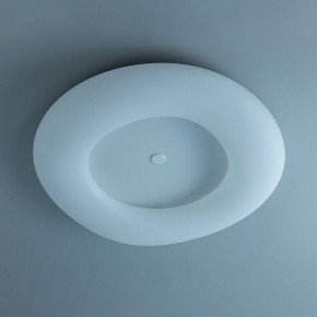 Накладной светильник Citilux Стратус Смарт CL732A800G в Губкинском - gubkinskiy.mebel24.online | фото 10