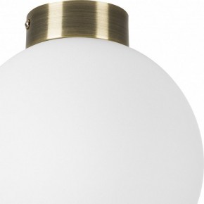 Накладной светильник Lightstar Globo 812021 в Губкинском - gubkinskiy.mebel24.online | фото 3