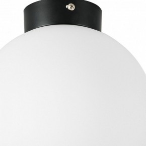Накладной светильник Lightstar Globo 812027 в Губкинском - gubkinskiy.mebel24.online | фото 2