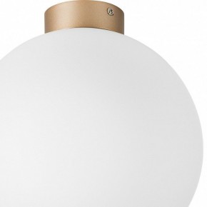 Накладной светильник Lightstar Globo 812033 в Губкинском - gubkinskiy.mebel24.online | фото 2