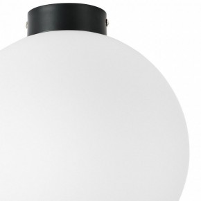 Накладной светильник Lightstar Globo 812037 в Губкинском - gubkinskiy.mebel24.online | фото 3