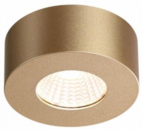 Накладной светильник Odeon Light Bene 4284/7CL в Губкинском - gubkinskiy.mebel24.online | фото 4