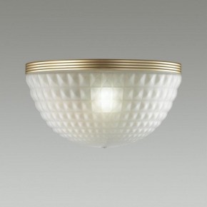 Накладной светильник Odeon Light Malaga 4936/1W в Губкинском - gubkinskiy.mebel24.online | фото 2