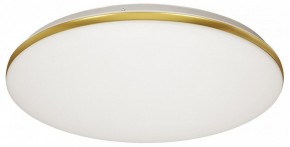 Накладной светильник Sonex Lassa 3043/DL в Губкинском - gubkinskiy.mebel24.online | фото 5