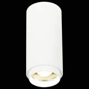 Накладной светильник ST-Luce Zoom ST600.542.10 в Губкинском - gubkinskiy.mebel24.online | фото 3