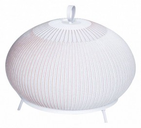 Настольная лампа декоративная Divinare Firefly 1808/33 TL-50 в Губкинском - gubkinskiy.mebel24.online | фото