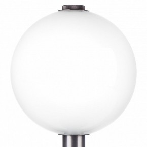 Настольная лампа декоративная Lightstar Colore 805916 в Губкинском - gubkinskiy.mebel24.online | фото 6