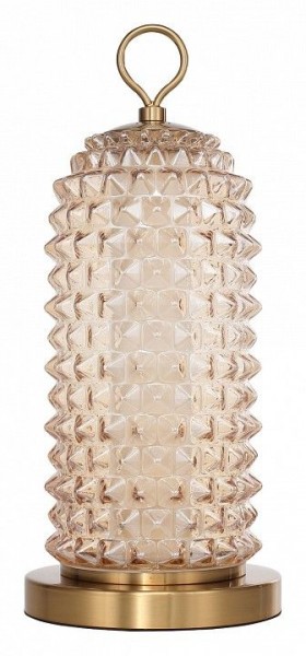 Настольная лампа декоративная ST-Luce SAGUARO SL6144.304.01 в Губкинском - gubkinskiy.mebel24.online | фото