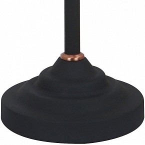 Настольная лампа офисная Arte Lamp Braccio A2054LT-1BK в Губкинском - gubkinskiy.mebel24.online | фото 4