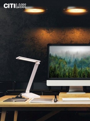 Настольная лампа офисная Citilux Ньютон CL803080 в Губкинском - gubkinskiy.mebel24.online | фото 10