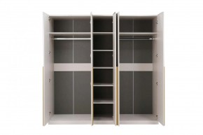 НИКОЛЬ 25 Шкаф 5-ти створчатый в Губкинском - gubkinskiy.mebel24.online | фото 3