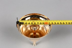 Подвесная люстра Aployt Daniele APL.701.03.12 в Губкинском - gubkinskiy.mebel24.online | фото 6