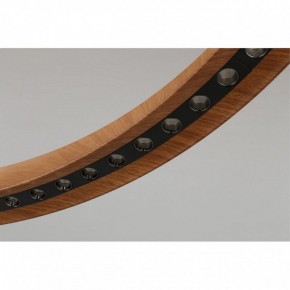 Подвесная люстра Aployt Justyna APL.787.03.75 в Губкинском - gubkinskiy.mebel24.online | фото 10