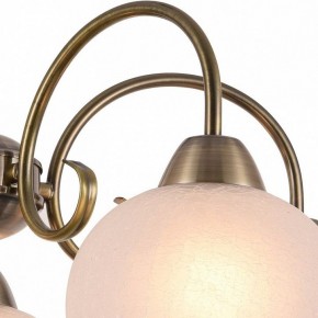 Подвесная люстра Arte Lamp Margo A9317LM-5AB в Губкинском - gubkinskiy.mebel24.online | фото 3