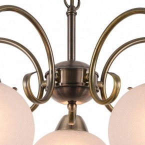 Подвесная люстра Arte Lamp Margo A9317LM-5AB в Губкинском - gubkinskiy.mebel24.online | фото 4