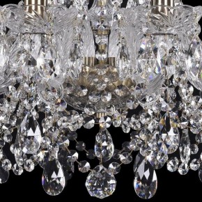 Подвесная люстра Bohemia Ivele Crystal 1411 1411/10/195/Pa в Губкинском - gubkinskiy.mebel24.online | фото 3