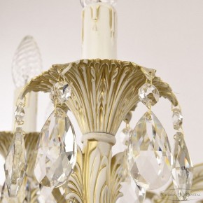 Подвесная люстра Bohemia Ivele Crystal AL7901 AL79101/12/300 A WMG в Губкинском - gubkinskiy.mebel24.online | фото 5