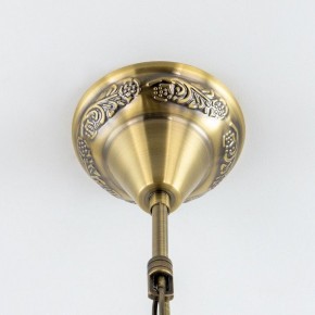 Подвесная люстра Citilux Каир CL419263 в Губкинском - gubkinskiy.mebel24.online | фото 13