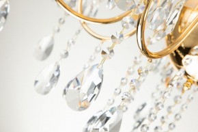 Подвесная люстра Favourite Cutie 2868-7P в Губкинском - gubkinskiy.mebel24.online | фото 6