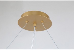 Подвесная люстра Favourite Ginkoa 4080-10P в Губкинском - gubkinskiy.mebel24.online | фото 9