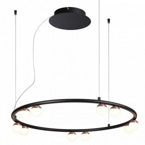 Подвесная люстра Favourite Knopp 4320-10P в Губкинском - gubkinskiy.mebel24.online | фото 2
