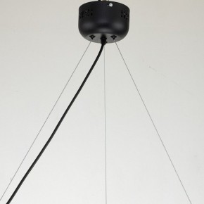 Подвесная люстра Favourite Light point 2997-6P в Губкинском - gubkinskiy.mebel24.online | фото 11