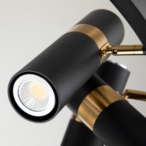 Подвесная люстра Favourite Light point 2997-9P в Губкинском - gubkinskiy.mebel24.online | фото 5