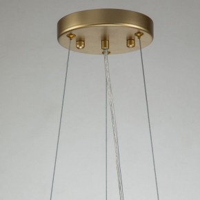 Подвесная люстра Favourite Rays 4058-14P в Губкинском - gubkinskiy.mebel24.online | фото 11
